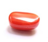 Red Coral